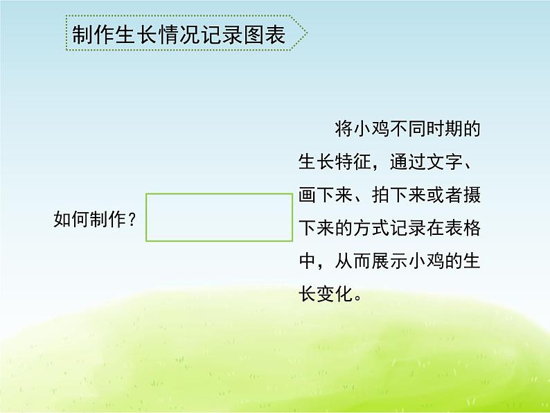 《养小鸡(1)》公开课教学PPT课件 冀人版小学科学四下03