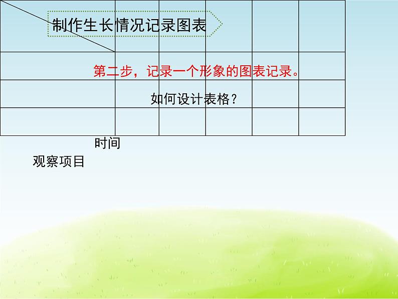 《养小鸡(1)》公开课教学PPT课件 冀人版小学科学四下04