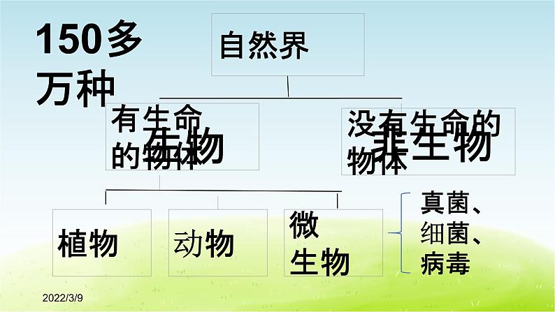 《周围的生物》公开课教学PPT课件 冀人版小学科学四下02