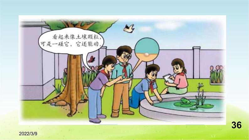 《周围的生物》公开课教学PPT课件 冀人版小学科学四下03