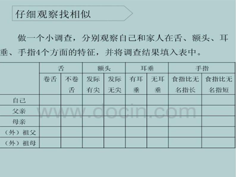 《相似与差异》公开课教学PPT课件2 冀人版科学五下06