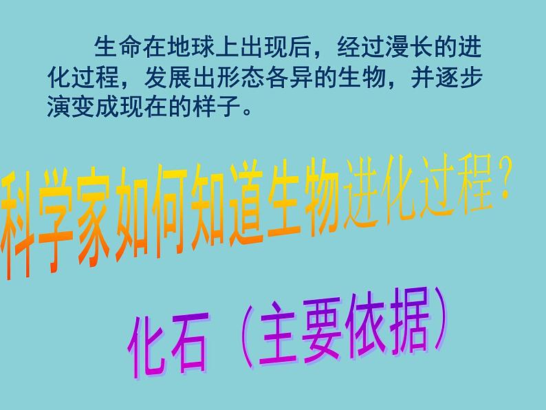 《寻找进化的证据》公开课教学PPT课件 冀人版科学五下第3页