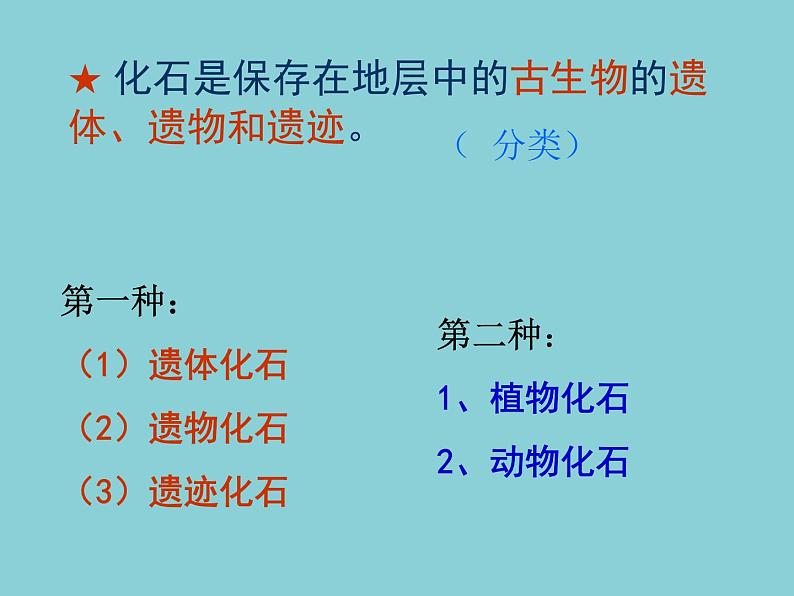 《寻找进化的证据》公开课教学PPT课件 冀人版科学五下第7页