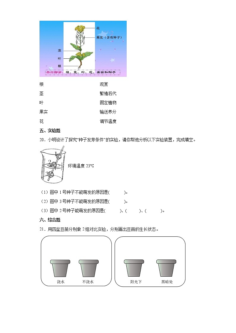 2021-2022学年度苏教版科学三年级下册1种子发芽了同步练习题（含答案）02