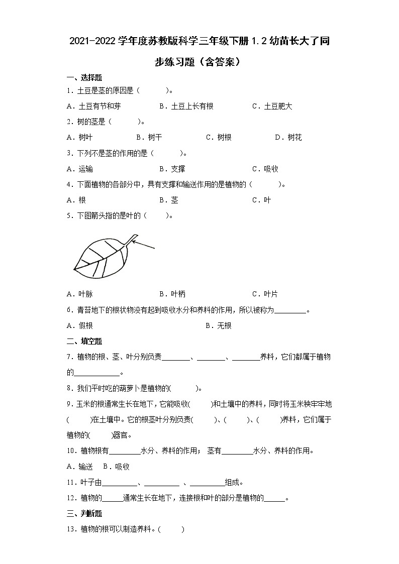 2021-2022学年度苏教版科学三年级下册2幼苗长大了同步练习题（含答案）第1页
