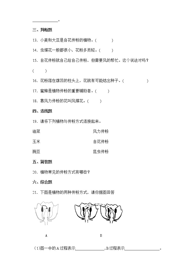 2021-2022学年度苏教版科学三年级下册3植物开花了同步练习题（含答案）02