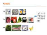 13.《食物的營(yíng)養(yǎng)》教學(xué)課件