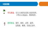 14《食物到哪里去了》教學(xué)課件