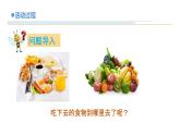 14《食物到哪里去了》教學(xué)課件