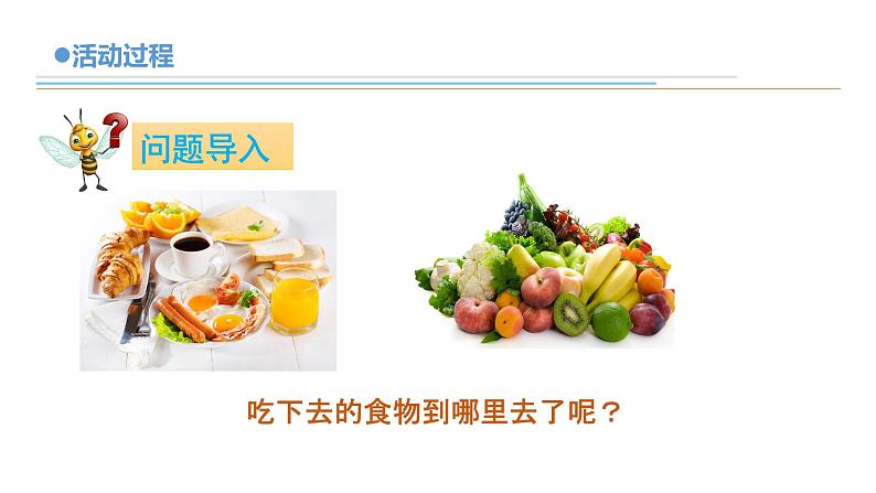 14《食物到哪里去了》教学课件第3页