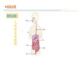 14《食物到哪里去了》教学课件