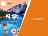 小學(xué)科學(xué)青島版六三制四年級下冊第五單元第17課《不同環(huán)境中的植物》 教學(xué)課件（2021新版）.ppt.pptx