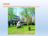 小學(xué)科學(xué)青島版六三制四年級下冊第五單元第17課《不同環(huán)境中的植物》 教學(xué)課件（2021新版）.ppt.pptx