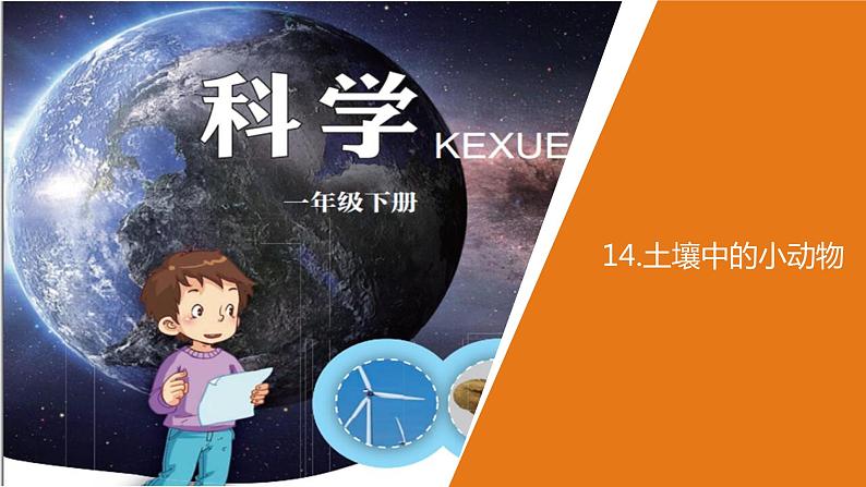 小学科学青岛版六三制一年级下册第四单元第15课《土壤中的小动物》 教学课件3.pptx.ppt01