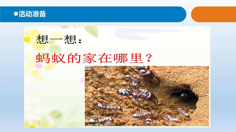小学科学青岛版六三制一年级下册第四单元第15课《土壤中的小动物》 教学课件3.pptx.ppt03