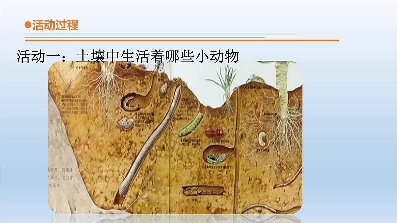 小学科学青岛版六三制一年级下册第四单元第15课《土壤中的小动物》 教学课件3.pptx.ppt06