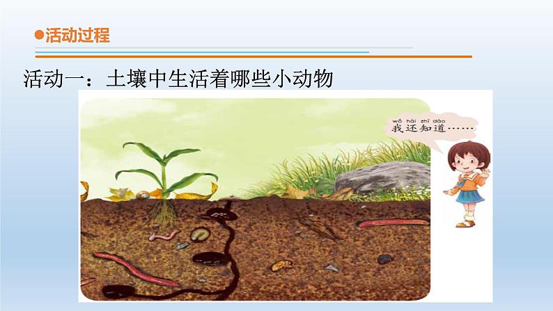 小学科学青岛版六三制一年级下册第四单元第15课《土壤中的小动物》 教学课件3.pptx.ppt07