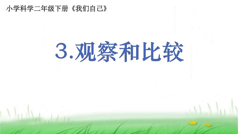 2.2.3 观察和比较课件 教科版小学科学二下第1页