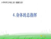 5.4.4《身体的总指挥》课件 教科版小学科学五上