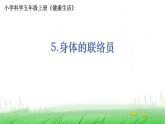 5.4.5《身体的联络员》课件 教科版小学科学五上
