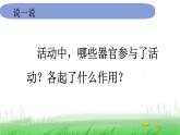 5.4.5《身体的联络员》课件 教科版小学科学五上