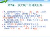 教科版六年级下册科学总复习PPT全册资料