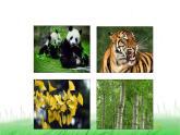 6.2.2《制作校园生物分布图》课件 教科版小学科学六下