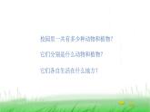 6.2.2《制作校园生物分布图》课件 教科版小学科学六下