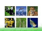 6.2.2《制作校园生物分布图》课件 教科版小学科学六下