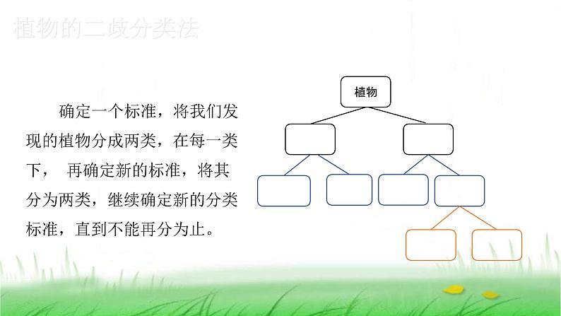 6.2.2《制作校园生物分布图》课件 教科版小学科学六下第6页