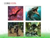6.2.6《古代生物的多样性》课件 教科版小学科学六下