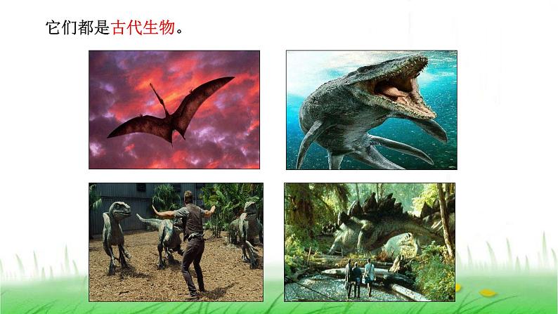 6.2.6《古代生物的多样性》课件 教科版小学科学六下第3页