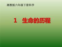 小学科学湘教版六年级下册1 生命的历程教学ppt课件