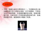 青岛小学科学六上《8、牛奶的变化》PPT课件-(12)