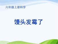 科学六年级上册3、馒头发霉了说课课件ppt