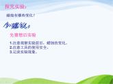 青岛小学科学六上《5、蜡烛的变化》PPT课件-(6)