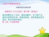 青岛小学科学六上《5、蜡烛的变化》PPT课件-(6)