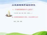 青岛小学科学六上《5、蜡烛的变化》PPT课件-(14)