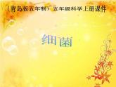 青岛小学科学六上《2、细菌》PPT课件-(5)
