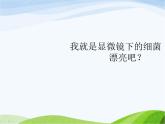 青岛小学科学六上《2、细菌》PPT课件-(5)