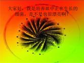青岛小学科学六上《2、细菌》PPT课件-(5)