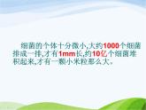 青岛小学科学六上《2、细菌》PPT课件-(2)