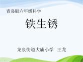 青岛小学科学六上《7、铁生锈》PPT课件-(5)