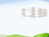 青岛小学科学六上《2、细菌》PPT课件-(3)