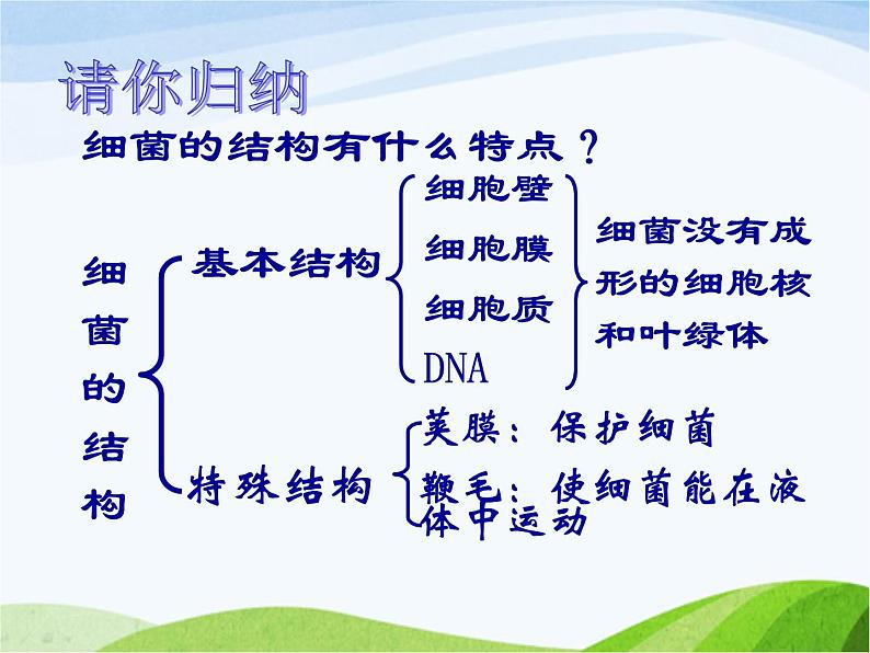 青岛小学科学六上《2、细菌》PPT课件-第7页