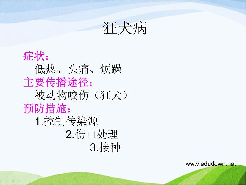 青岛小学科学六上《1、病毒》PPT课件-第8页