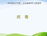 青岛小学科学六上《1、病毒》PPT课件-(1)