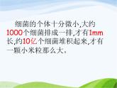 青岛小学科学六上《2、细菌》PPT课件-(1)