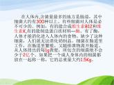 青岛小学科学六上《2、细菌》PPT课件-(1)
