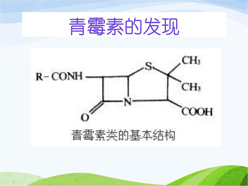 青岛小学科学六上《2、细菌》PPT课件-(1)07